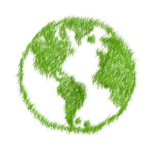 mondo green eco
