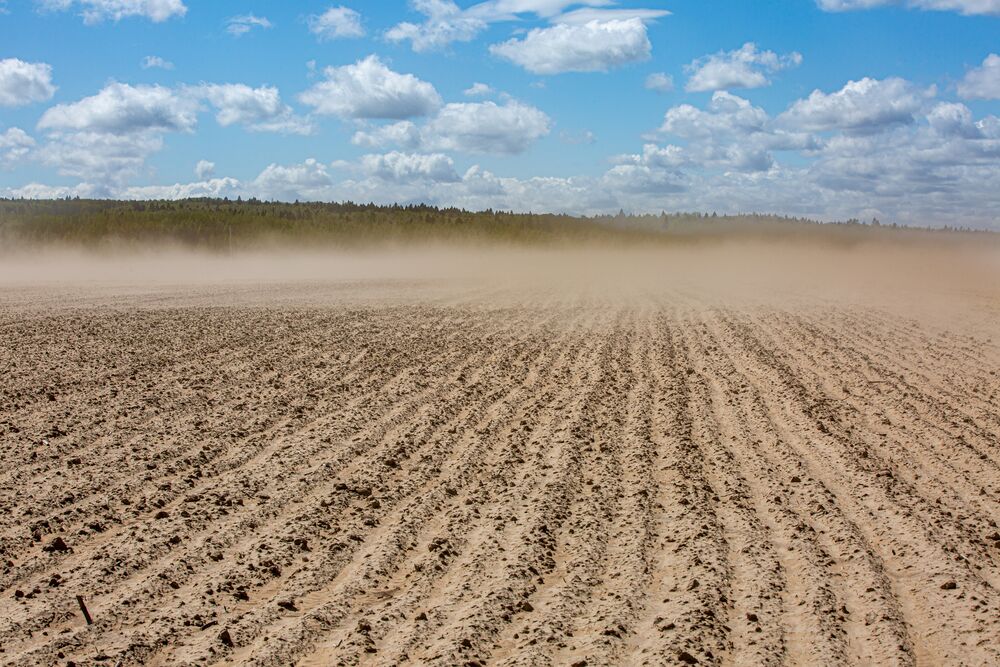 campo polveroso